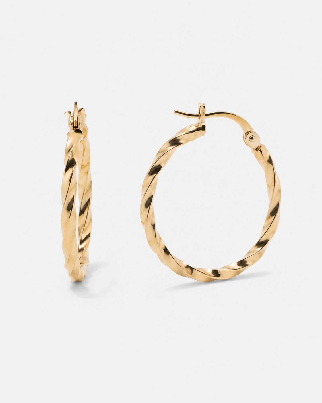 Twisted Earrings
